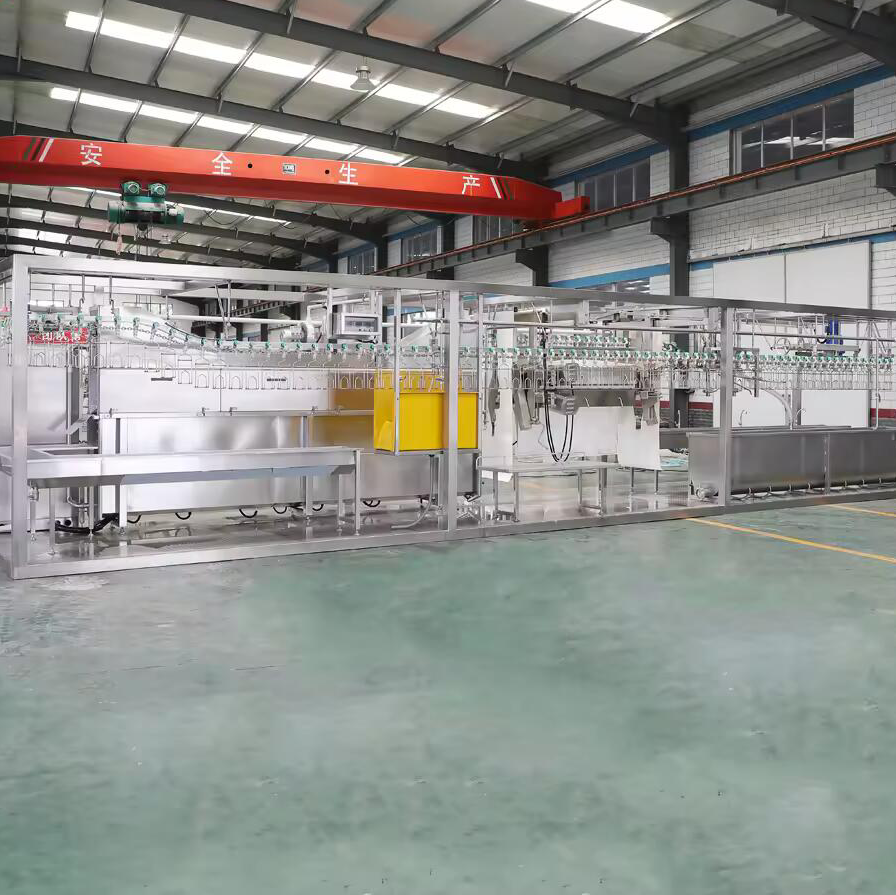 500-800 Bph Mobile Chicken Abattoir Container Size Chicken Production Line