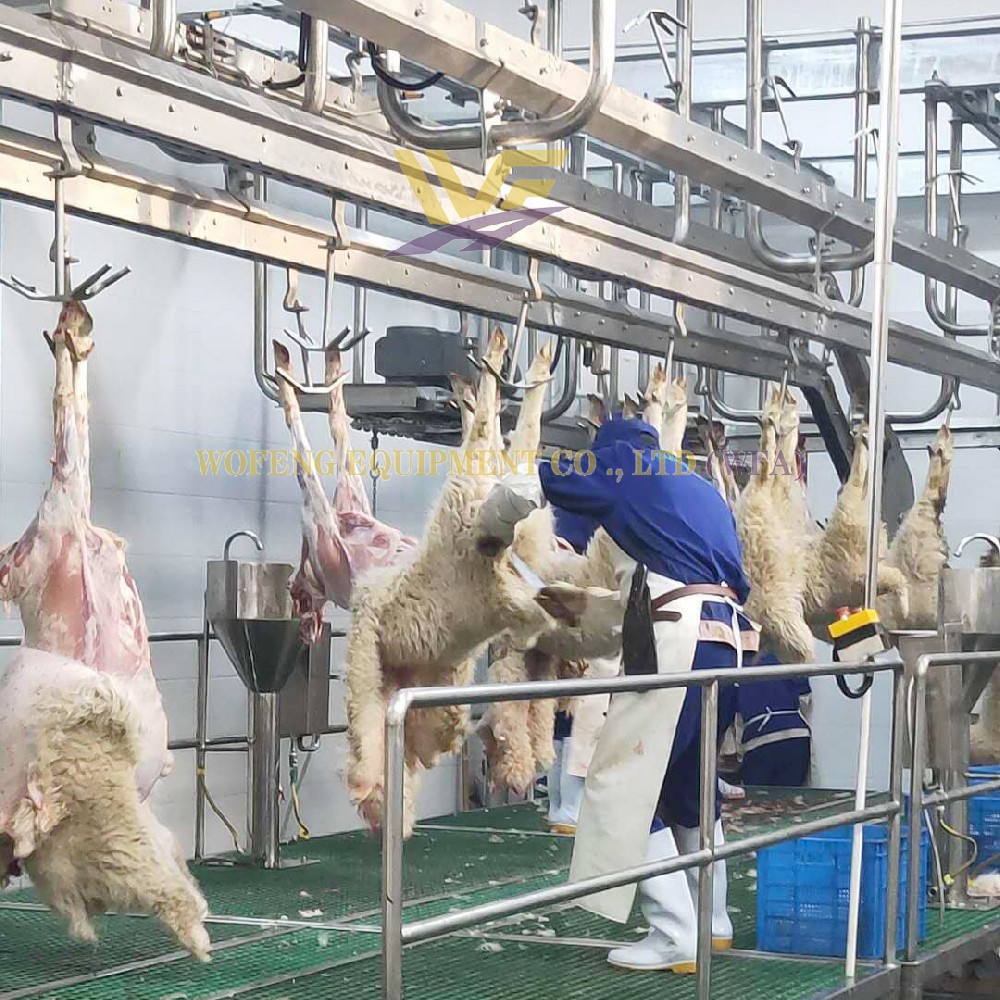 Sheep Abattoir Equipment