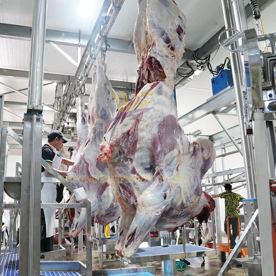 Malaysian Client’s Cattle & Sheep Slaughtering Equipment Officially Put into Production