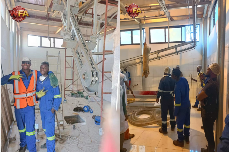 WFA Engineering Successfully Completes Pig Slaughter Equipment Project in Mozambique – Global Service Excellence