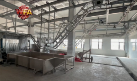 WFA Engineering Shares Custom Pig Abattoir Project! Pig Slaughter Machine Case Offers Professional Technical Reference for Buyers